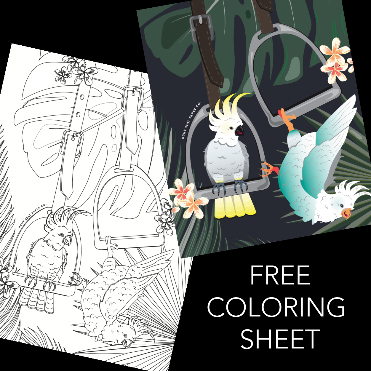 Cockatoo Crew In The Irons - Free Coloring Sheet