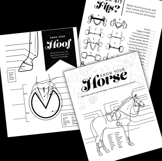 Horse Education Activities ⚡ Free Printable