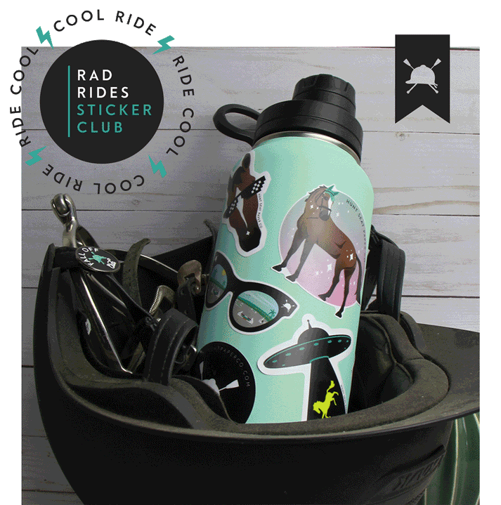 Sticker Bundle ⚡ Equestrian stickers for your phone, water bottle or